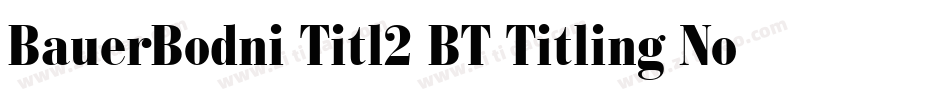BauerBodni Titl2 BT Titling No.2字体转换